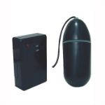 Picture of REMOTE CONTROL WATERPROOF BULLET
