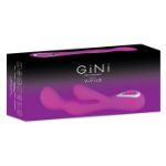 Picture of GINI