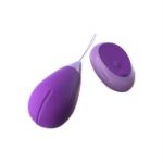 Picture of Fantasy For Her Remote Kegel Excite-Her