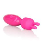 Picture of Tiny Teasers Bunny