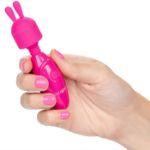 Picture of Tiny Teasers Bunny