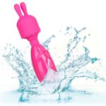 Picture of Tiny Teasers Bunny