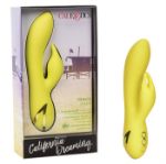 Picture of California Dreaming™ Venice Vixen