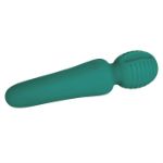 Picture of EVE'S PETITE PRIVATE PLEASURE WAND