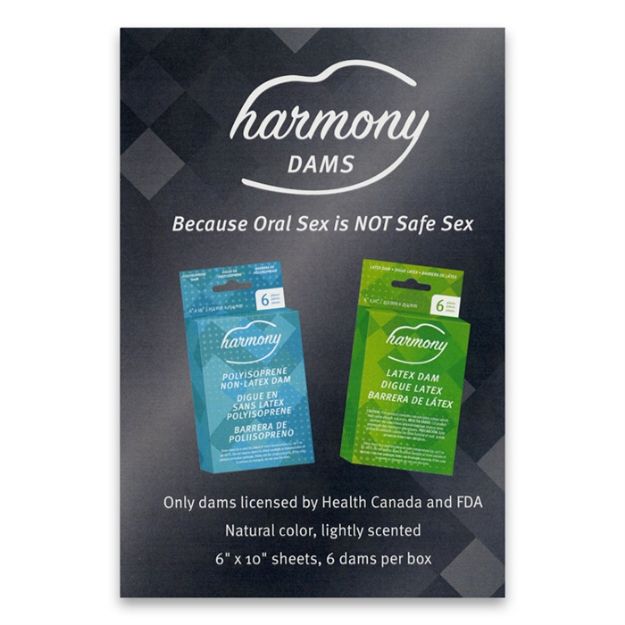 Picture of HARMONY DAM CARD ENGLISH