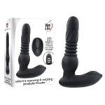 Image de ADAM'S WARMING & ROTATING PROSTATE THRUSTER